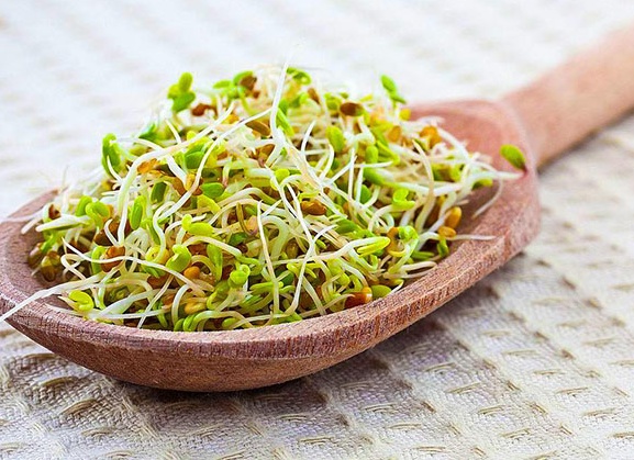 Пророщенное зерно