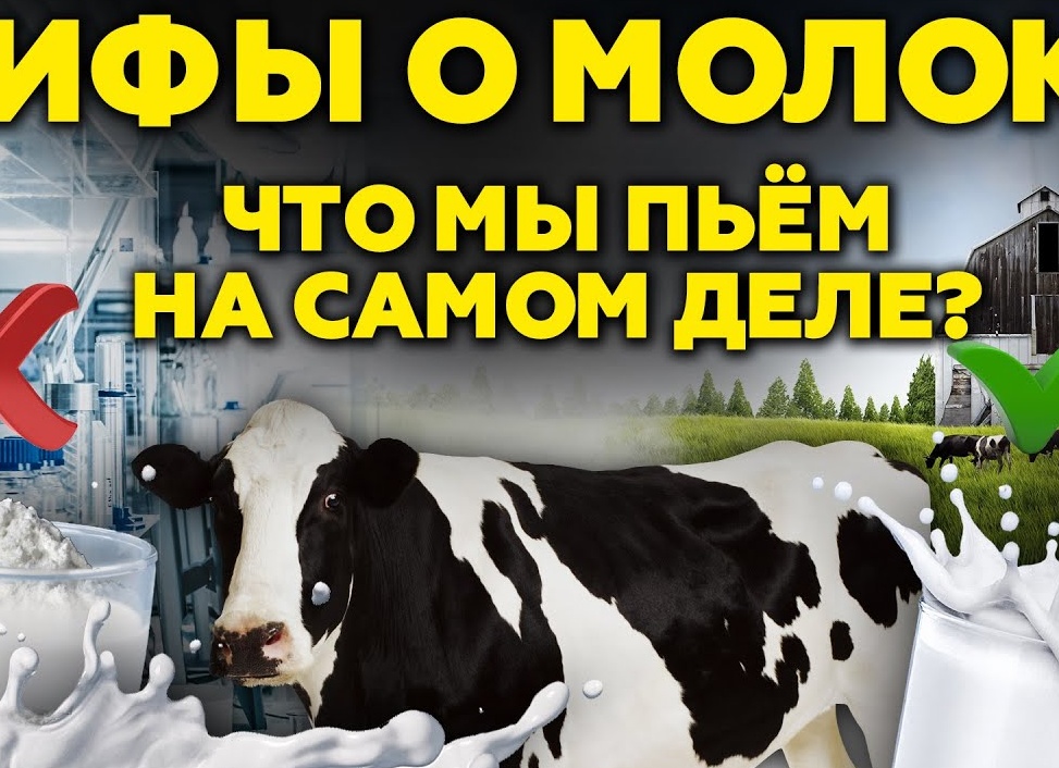 Вся правда о молоке