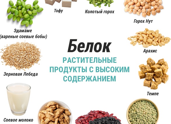 История вегетарианства и виды вегетарианских диет