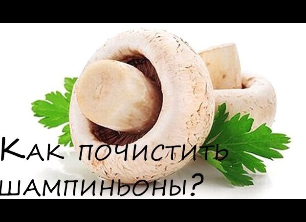 Шампиньоны