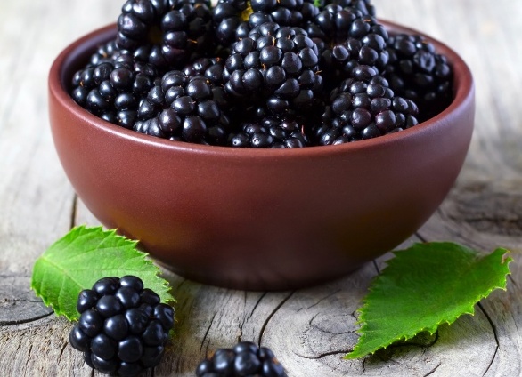 Ежевика: сезон открыт